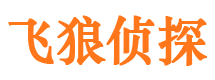 宜州市私家侦探